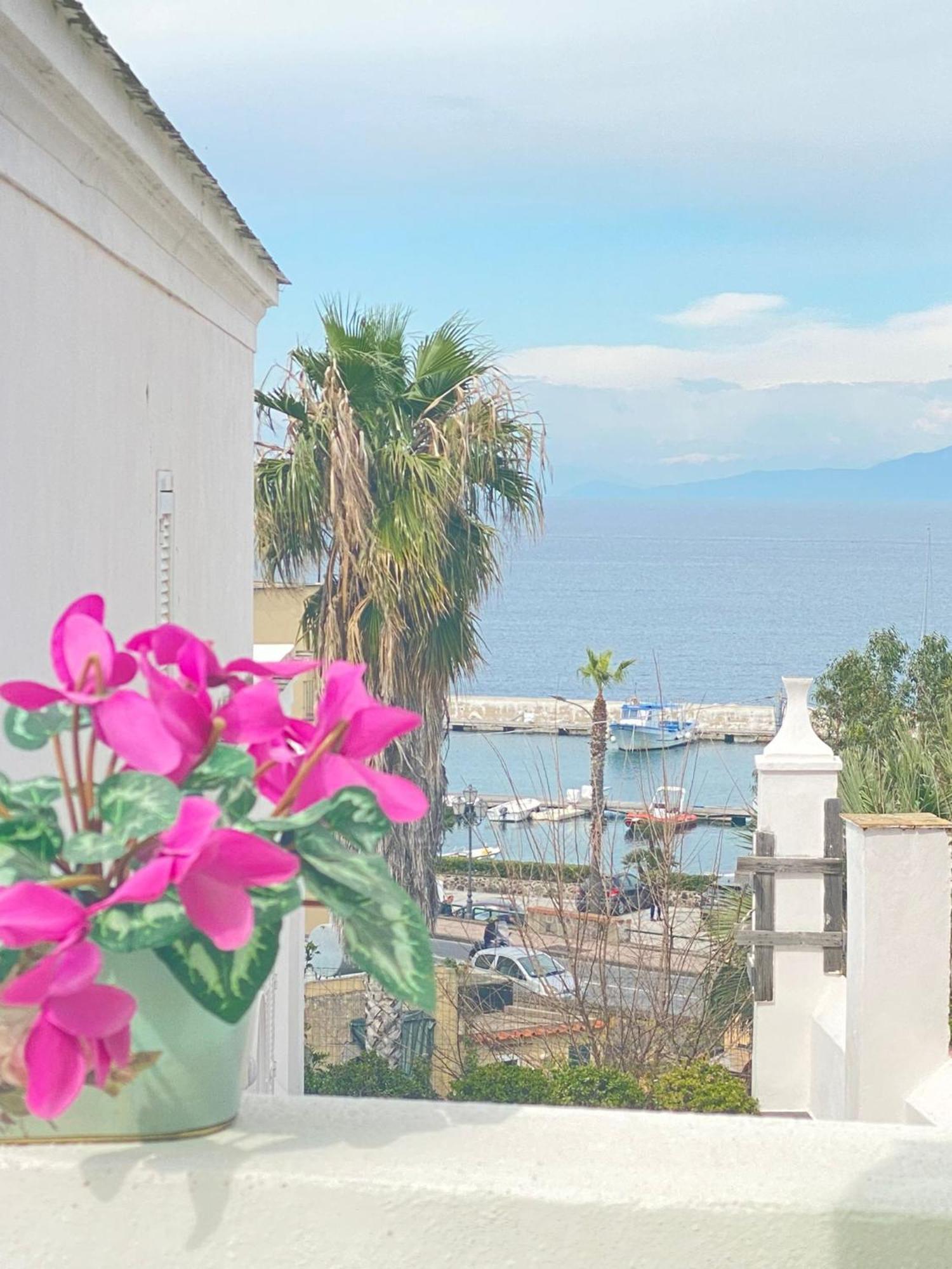 Euploia Apartment Ischia Extérieur photo